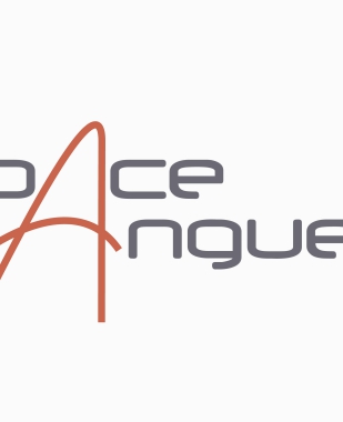 ESPACE LANGUES