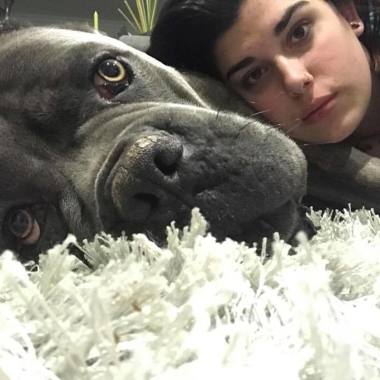 Assistencia ao dono