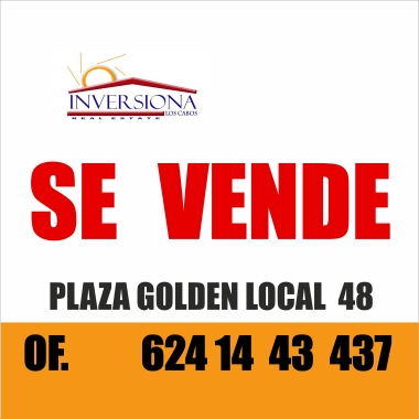 INVERSIONA  S DE RL DE CV