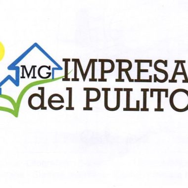 Impresa del Pulito MG Multiservizi srls