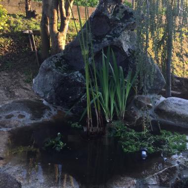 Jardines eden