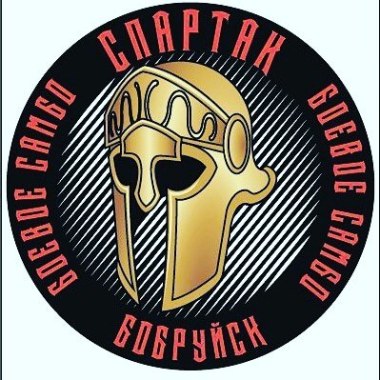 СК СПАРТАК  БОЕВОЕ САМБО>ММА
