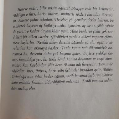 Öğretmen