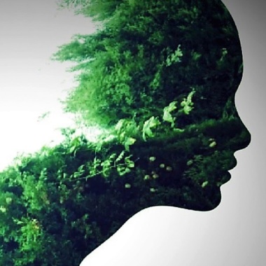 Pensando en Verde. Landscape Architecture.