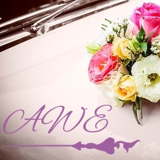 Arianna's Weddings and Events