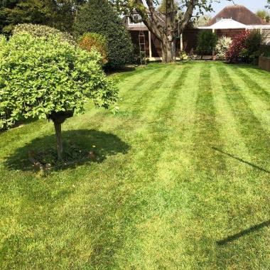 Lord Of The Lawns Lichfield