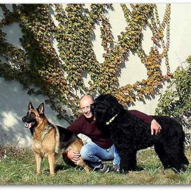 GOLDHUND