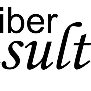 Reiber Consulting Kft