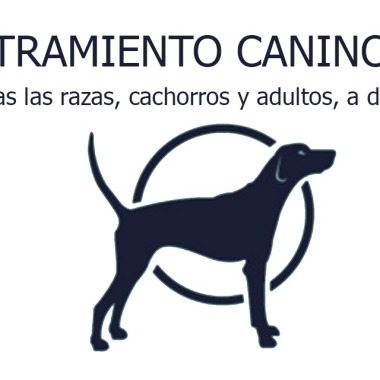 Educación canina Madird
