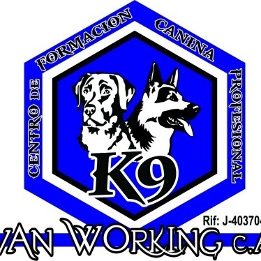 Centro de Formación Canina Profesional Van working
