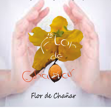 EyCT Flor de Chañar