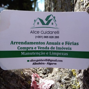 Alice Guidarelli Apartamento