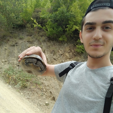 Köpek bakıcılığı