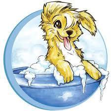 Doggie Day Spa & Resort