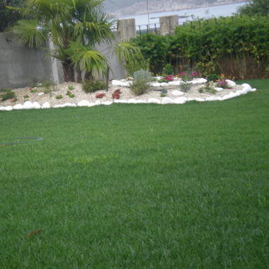Xardineria O Acebo