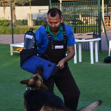 Canine village dog training & research centre
