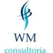 WM consultoria 