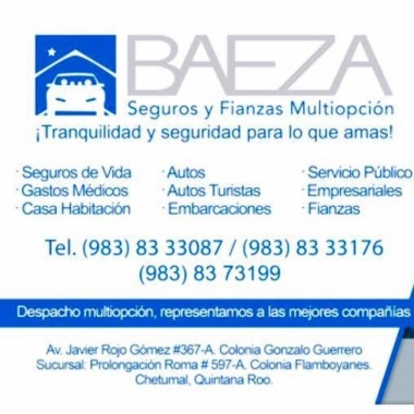 Baeza Seguros y Fianzas Multiopción