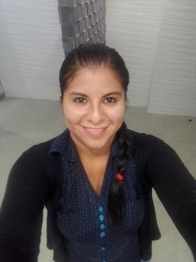 Erika Figueroa
