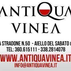 Antiqua Vinea vini d'Irpinia