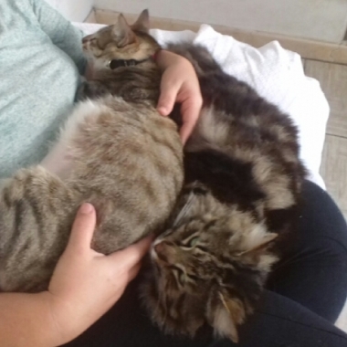 Médica veterinária