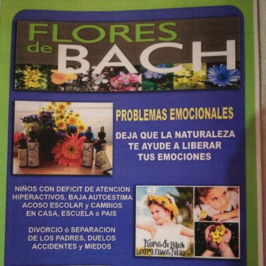 Terapeuta terapias alternativas