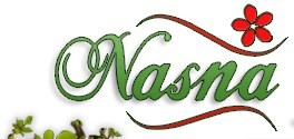 Nasna Florist & Decoration