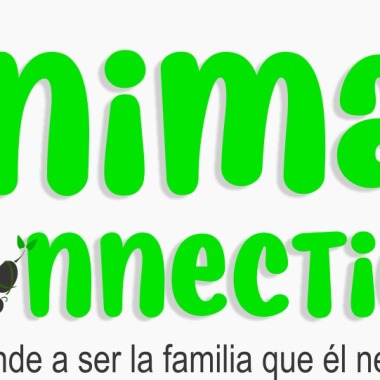 Animal Connection