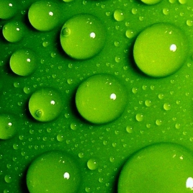 EcoAutopflege