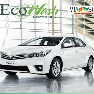 Eco Wash lava car