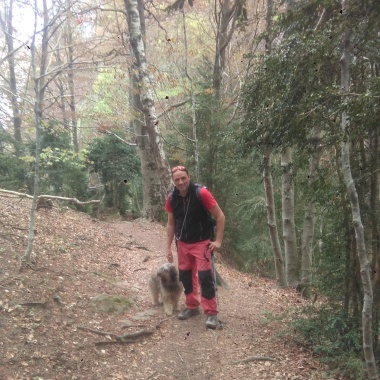 Jardineria integral xavi