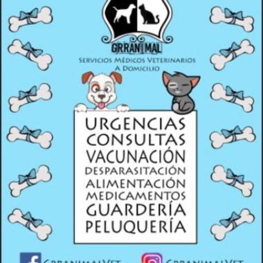 Grranimal veterinaria a domiclio al Norte de Bogota