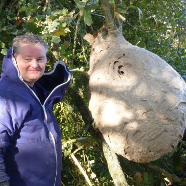 ADP-s : Apiculture désinsectisation piégeage - services