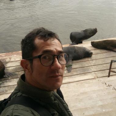Paseo perro