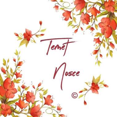 Temet Nosce