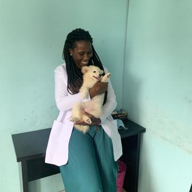 Pets haven veterinary services
