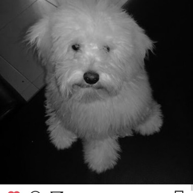 Fotografía