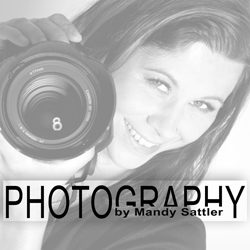 Photography by Mandy Sattler