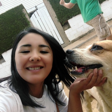 Paseo canino