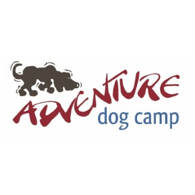 Adventure Dog Camp