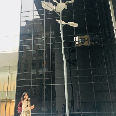 María José