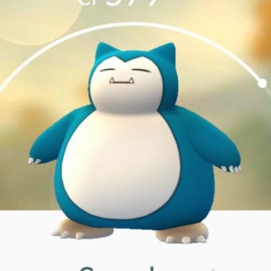 Treinamentos Mestre Pokémon