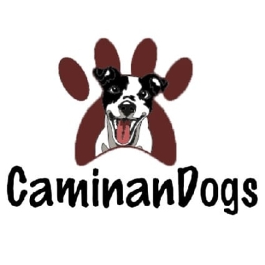 CaminanDogs
