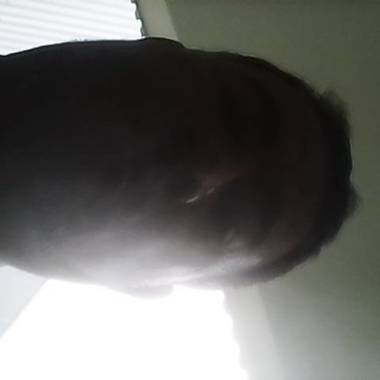 Ricardo electricos