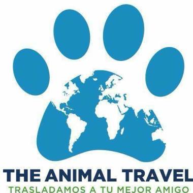 The Animal Travel