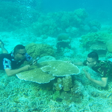 RAJA AMPAT CABALLA Tour And Travel
