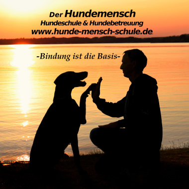 Hundeschule-Hundemensch