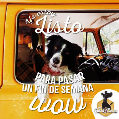 Con patas y colas
