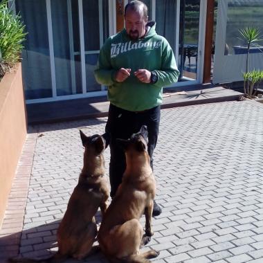 PN Educação Canina