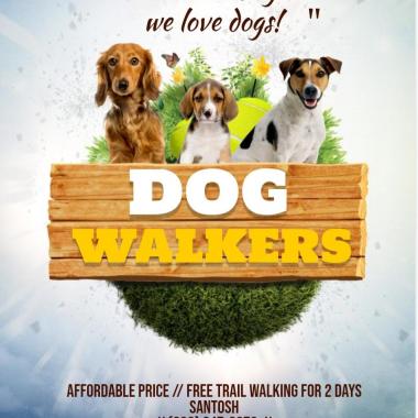 Dog training and walking